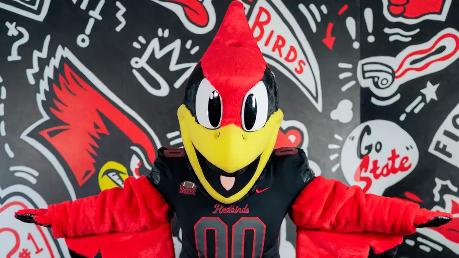 A Fresh Flight: The Bold Redesign of Reggie Redbird Introduction